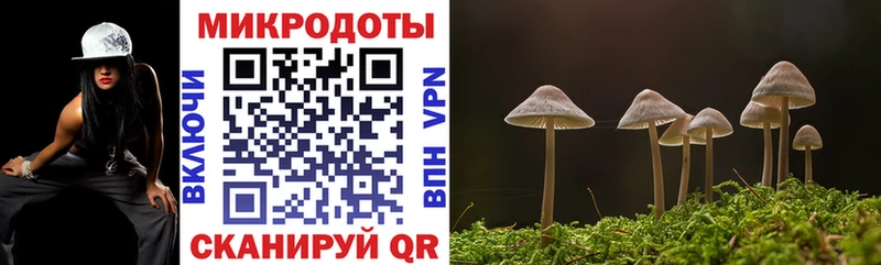 Купить закладки  Серпухов  Галлюциногенные грибы Psilocybine cubensis 